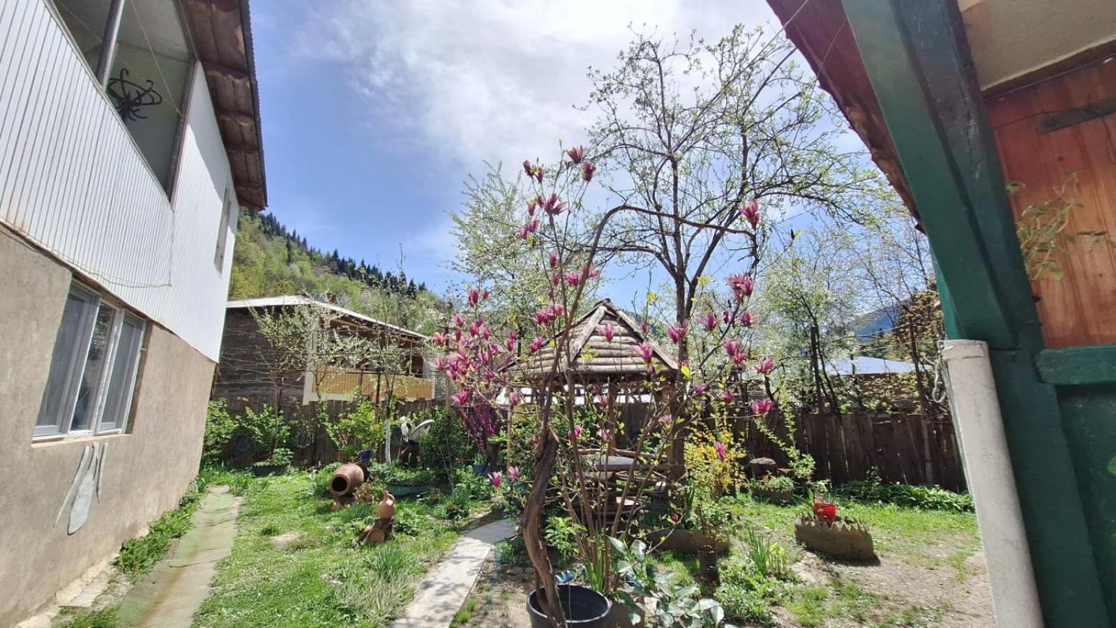 Guest House "Svaneti" Lentekhi Esterno foto