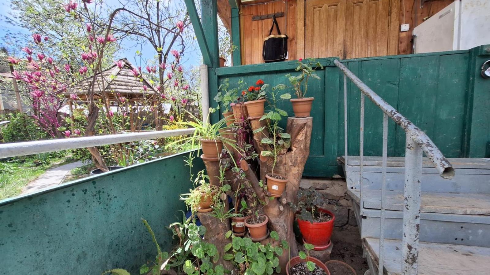 Guest House "Svaneti" Lentekhi Esterno foto