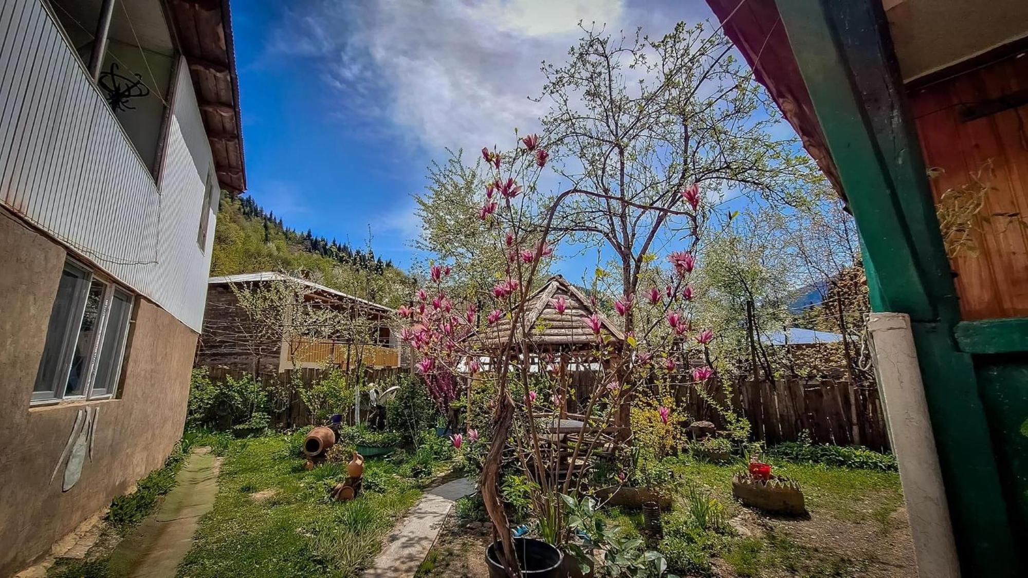 Guest House "Svaneti" Lentekhi Esterno foto